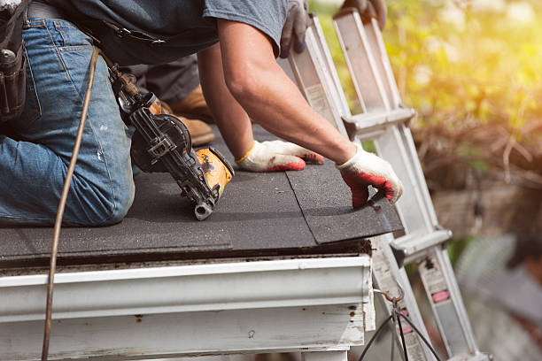 Best Flat Roof Repair Services  in Bellevue, NE